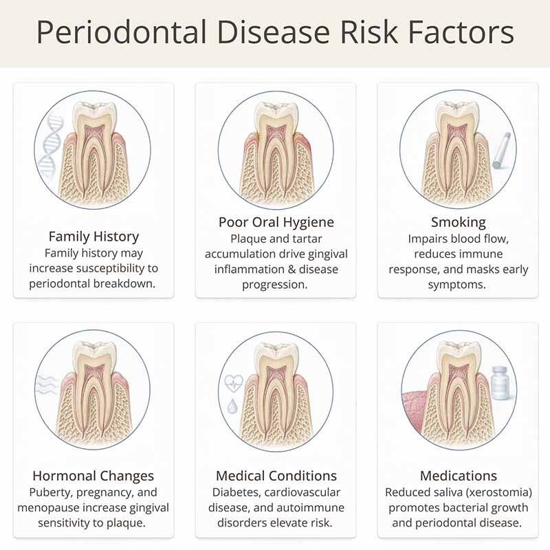 Infographic showing gum disease risk factors including family history, poor oral hygiene, smoking, hormonal changes, medical conditions, and medications